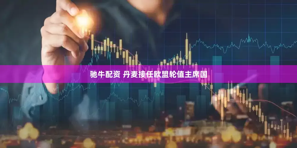 驰牛配资 丹麦接任欧盟轮值主席国
